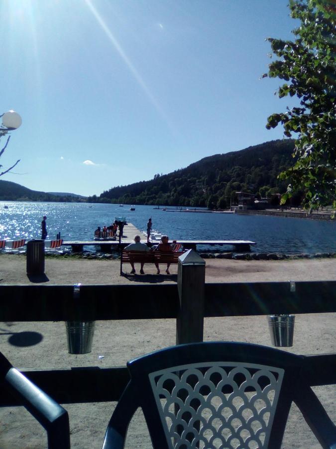 Le Trefle D'or * Gerardmer